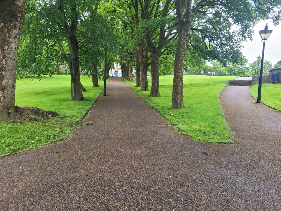 Image 8