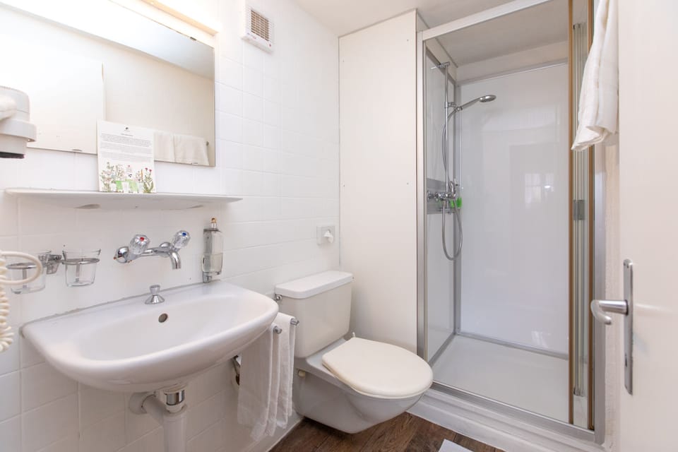 Standard Double Room | Bathroom | Free toiletries, towels
