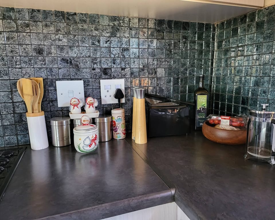 House, 2 Bedrooms, Patio, Lake View | Private kitchen