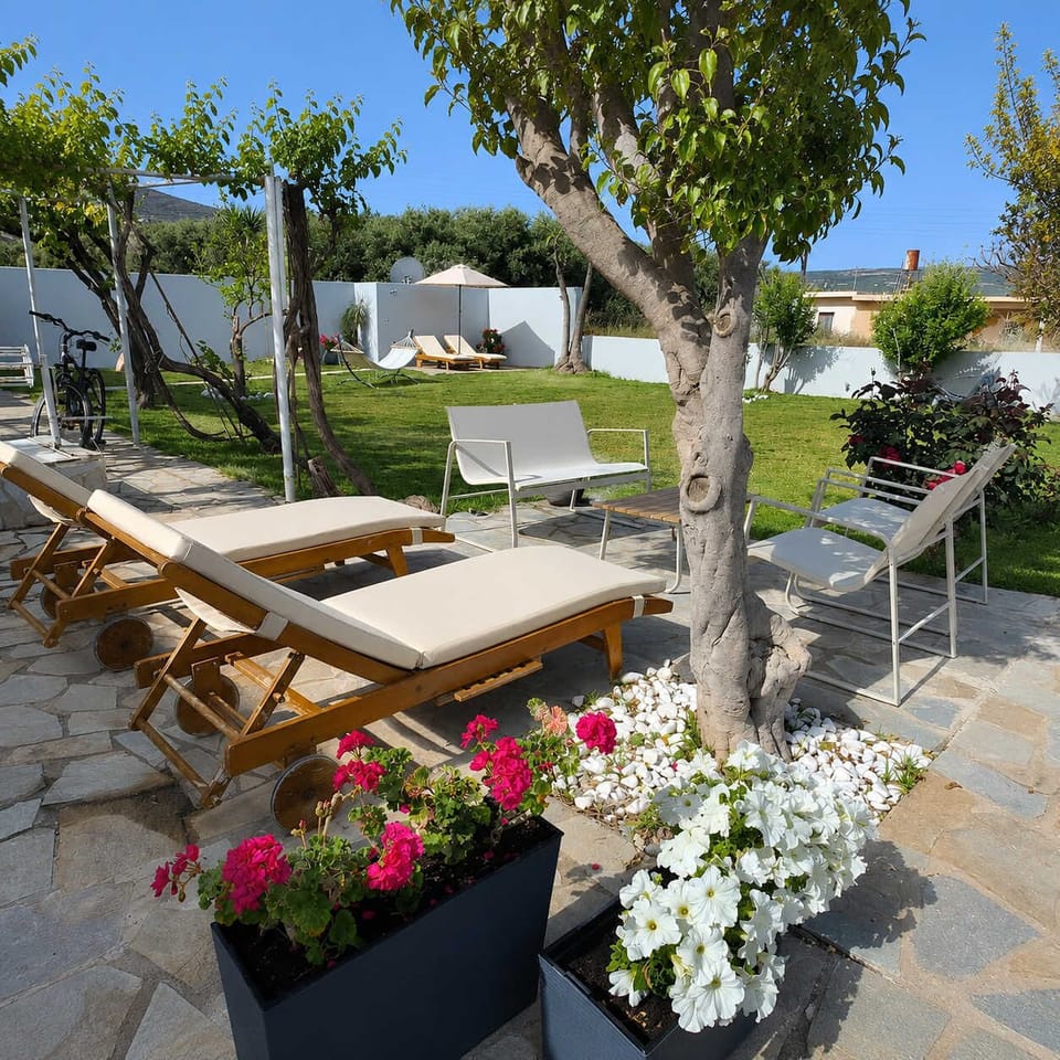 Garden with Sun Loungers and Relaxation Area