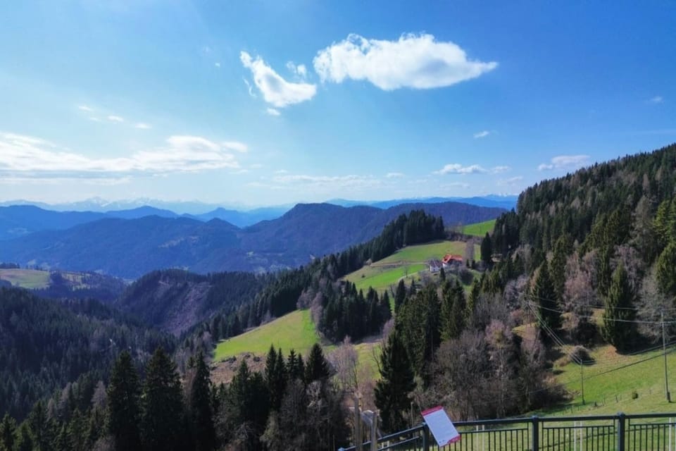 Region [summer] (>5 km)