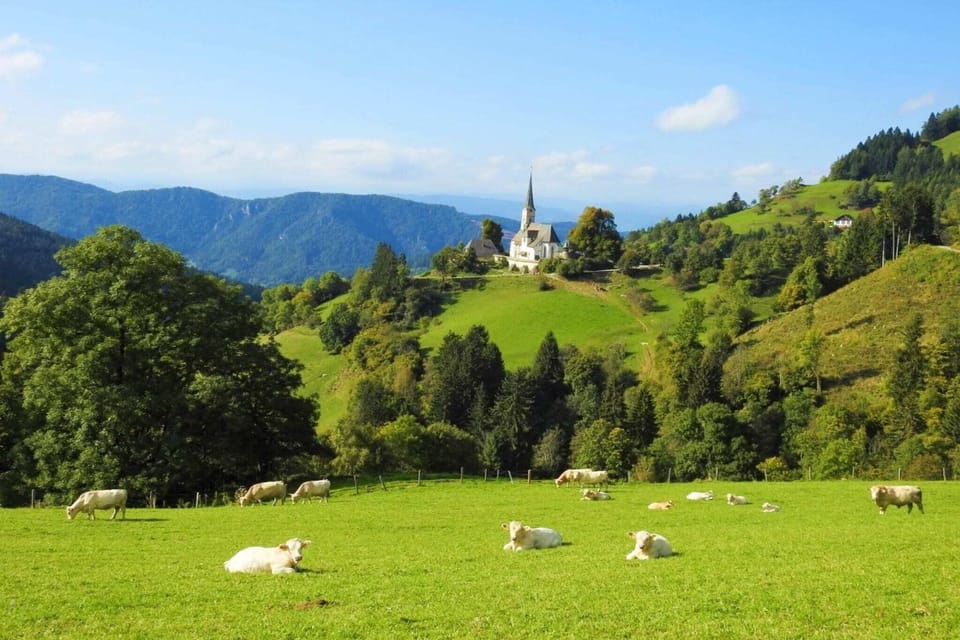 Surroundings [summer] (1-5 km)
