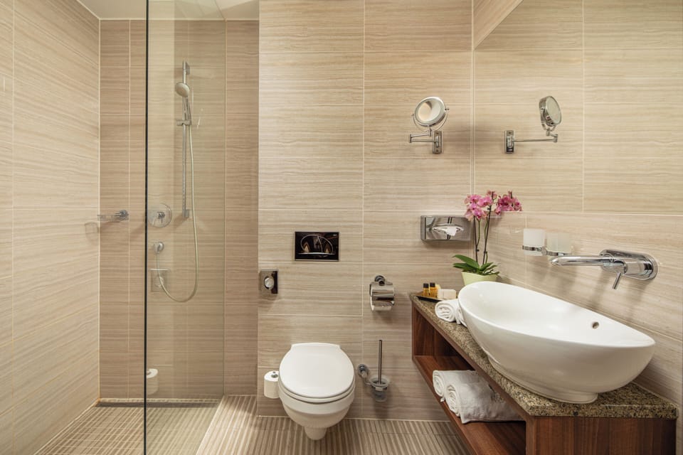 Shower, free toiletries, towels