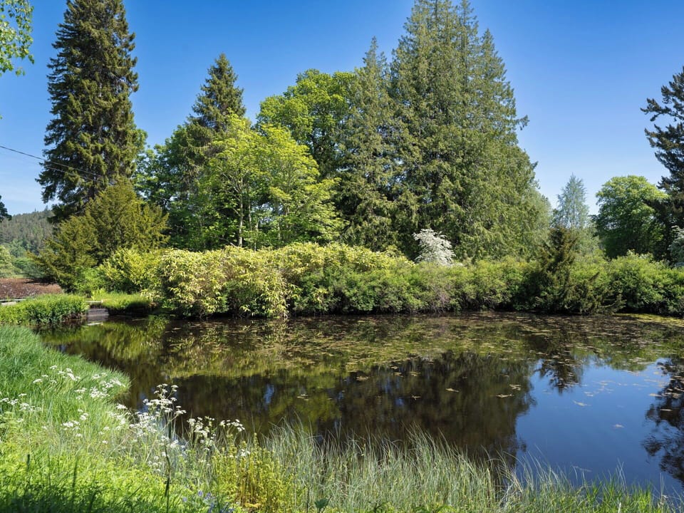Water, Green, Body Of Water, Water Resources, Nature, Tree, Natural Environment, Natural Landscape, Vegetation, Watercourse
