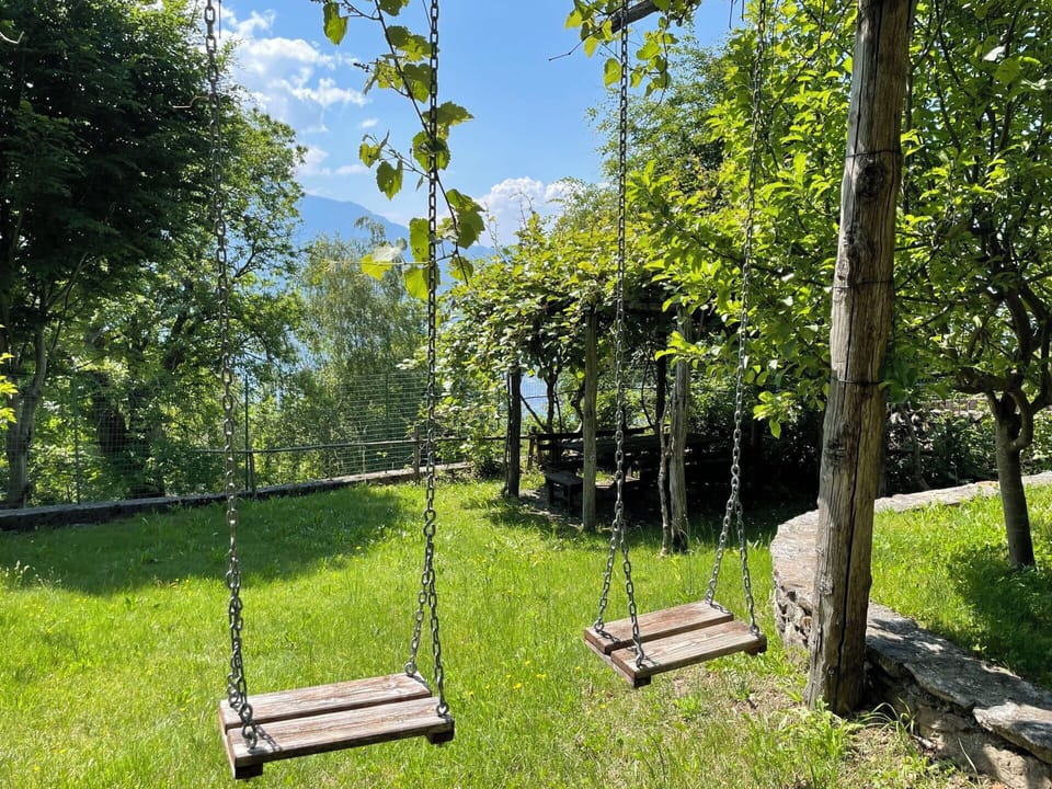 Spring, Garden, Shade, Swing, Lawn, Park, Outdoor Furniture, Backyard