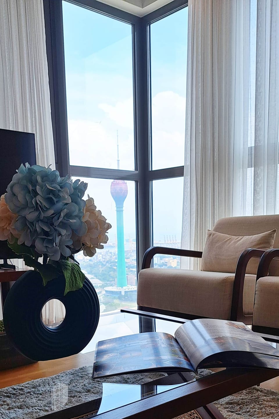 View from the Living Room