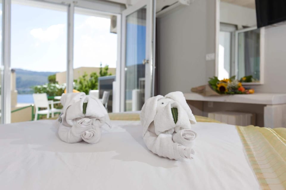 Iron/ironing board, free WiFi