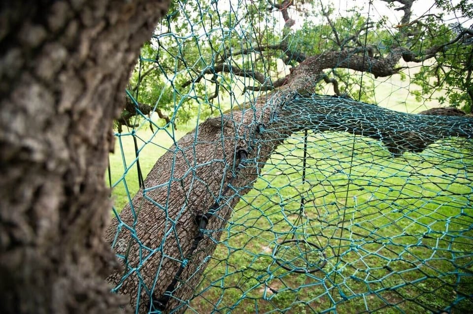 The Tree Net has high walls to kick back and relax against. Below, a whimsical garden scene complete with a milk crate on a pulley (to hoist up supplies)!