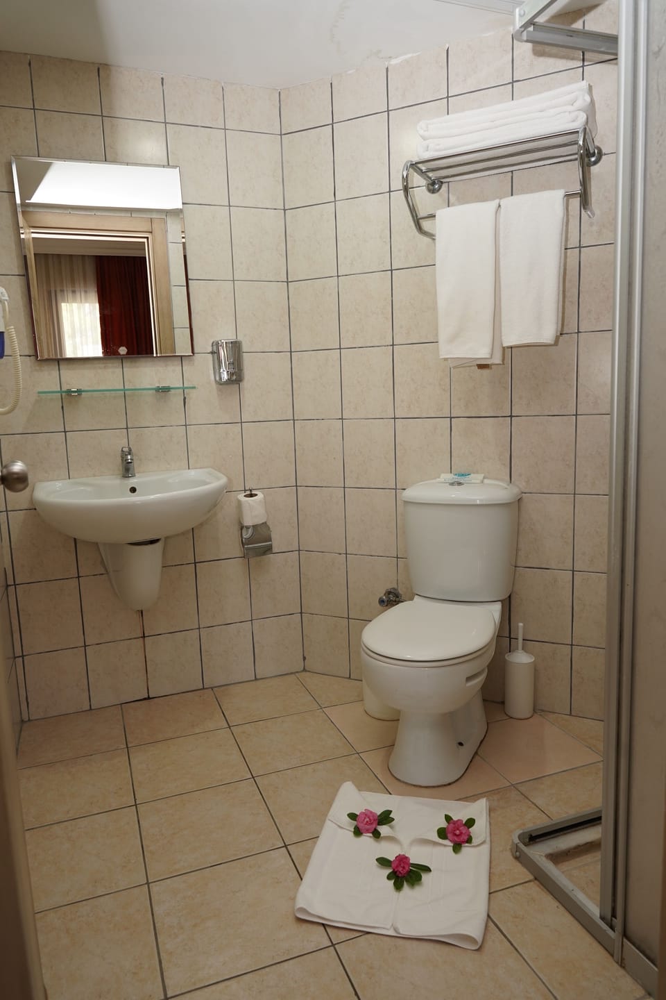 Shower, free toiletries, hair dryer