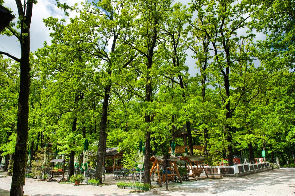 Children's play area - outdoor