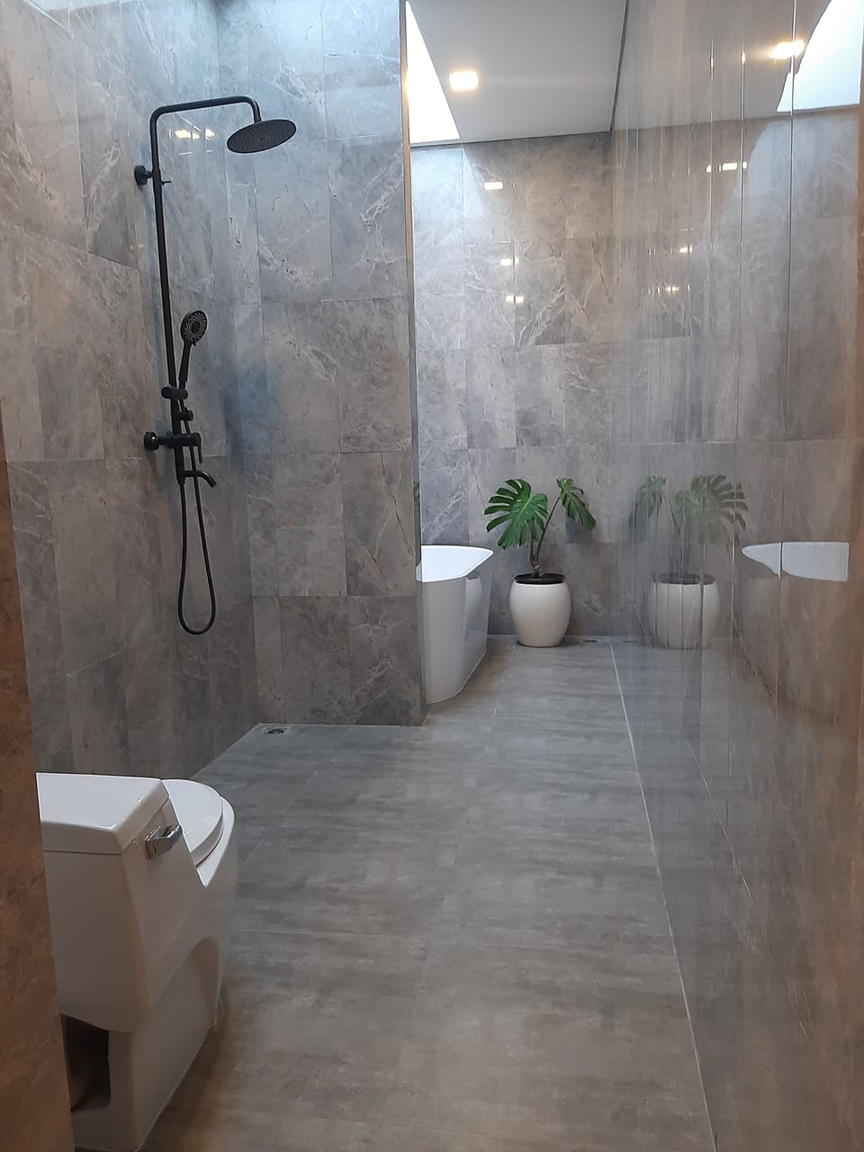 Separate tub and shower, free toiletries, towels, soap