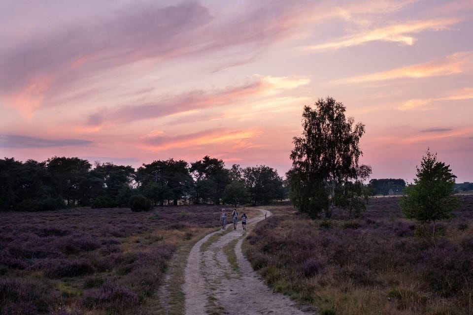 Surroundings [summer] (1-5 km)