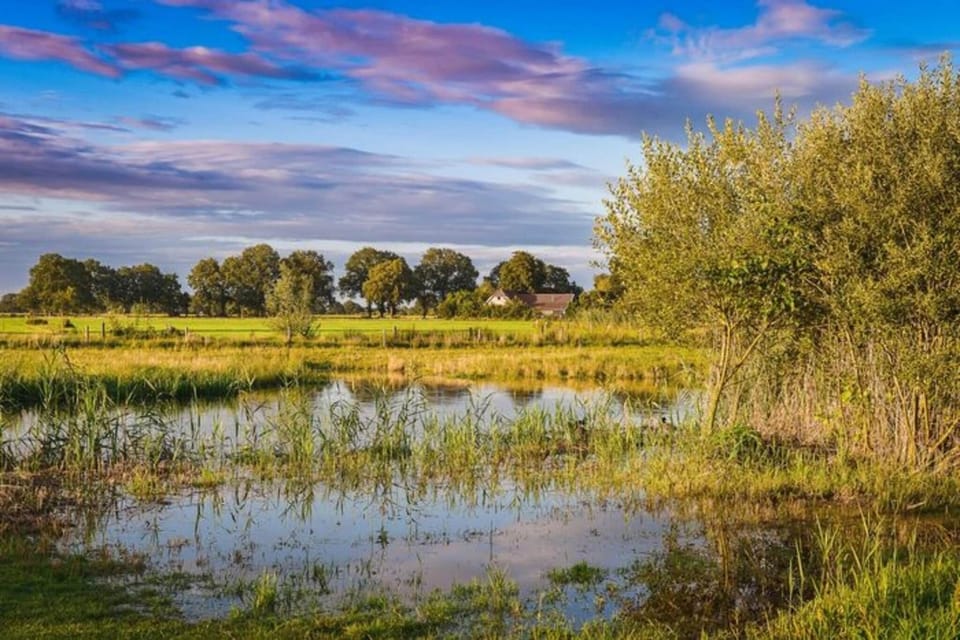 Surroundings [summer] (1-5 km)