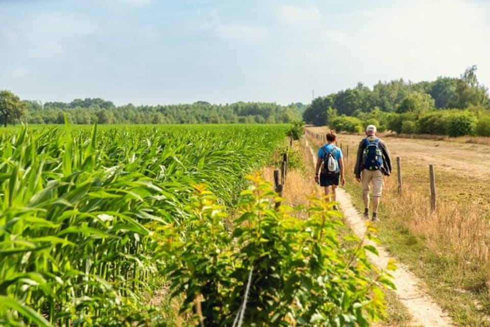 Surroundings [summer] (1-5 km)