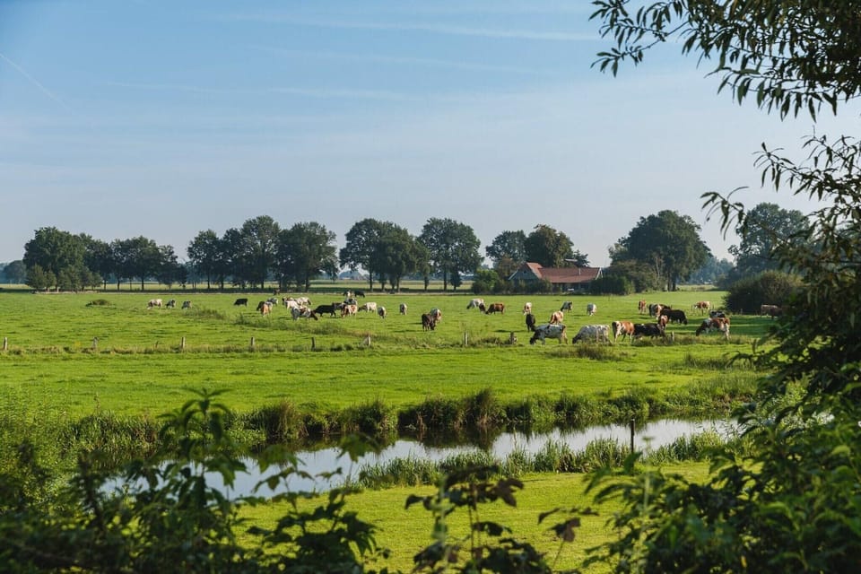 Surroundings [summer] (1-5 km)