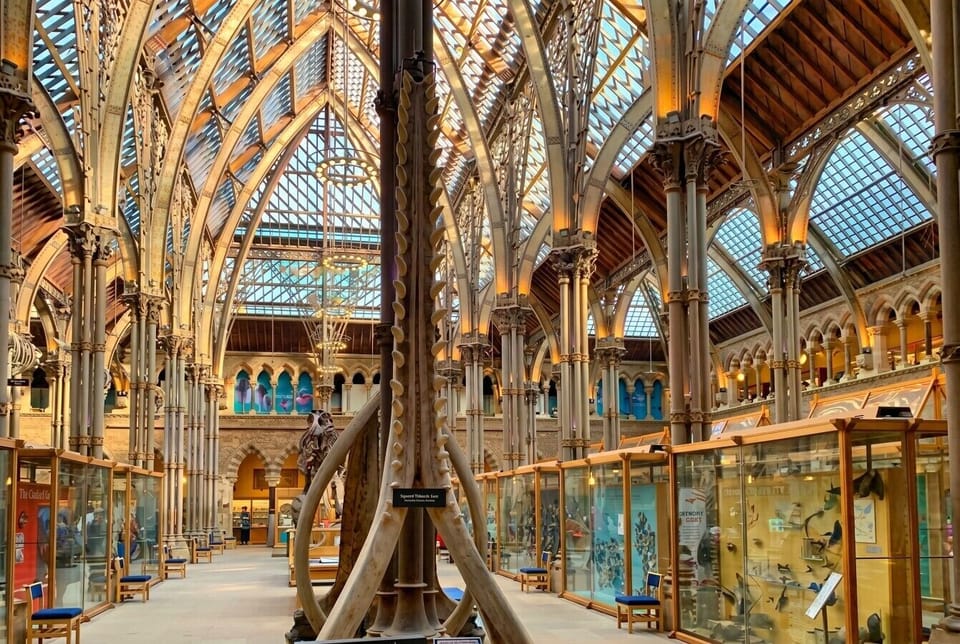 Wander the stunning Oxford Natural History Museum nearby
