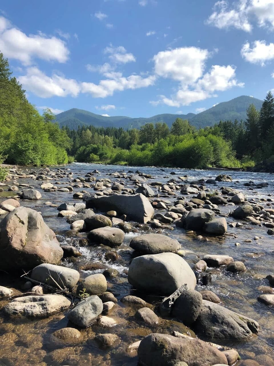River view near the cabin.