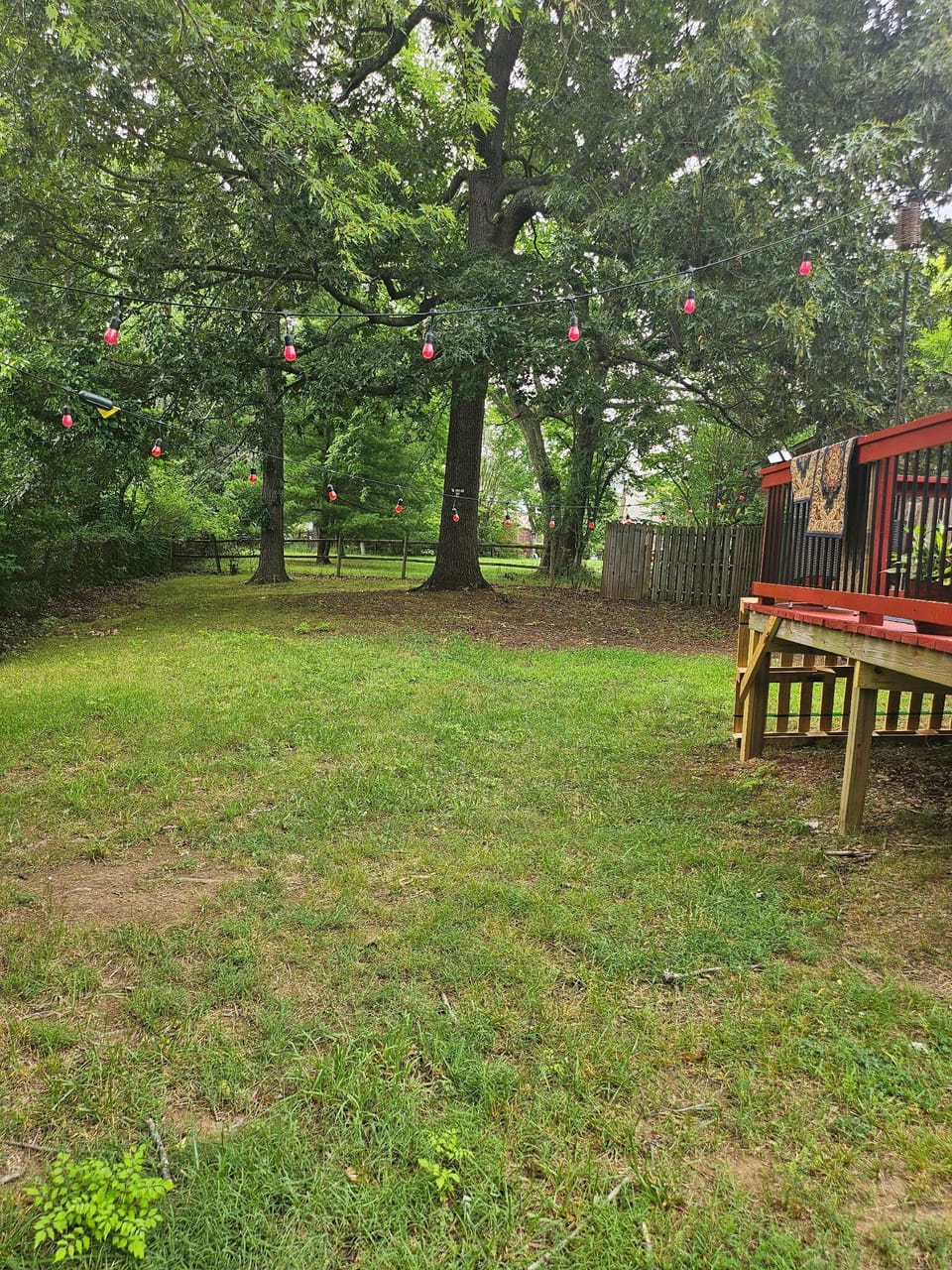 Backyard space