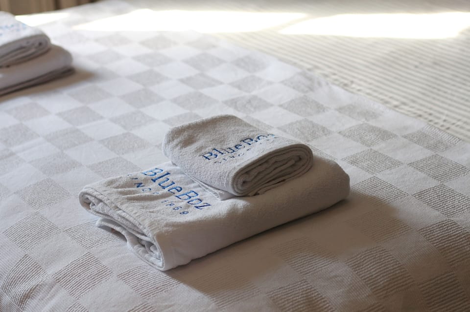 Deluxe Triple Room | Bathroom amenities | Shower, hair dryer, towels, soap
