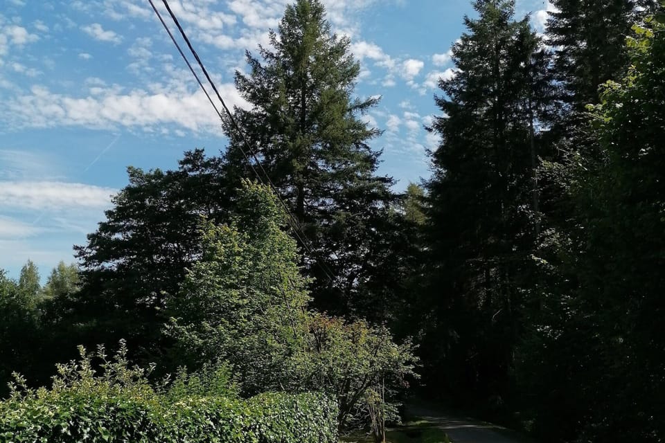 Immediate Surroundings [summer] (<1 km)