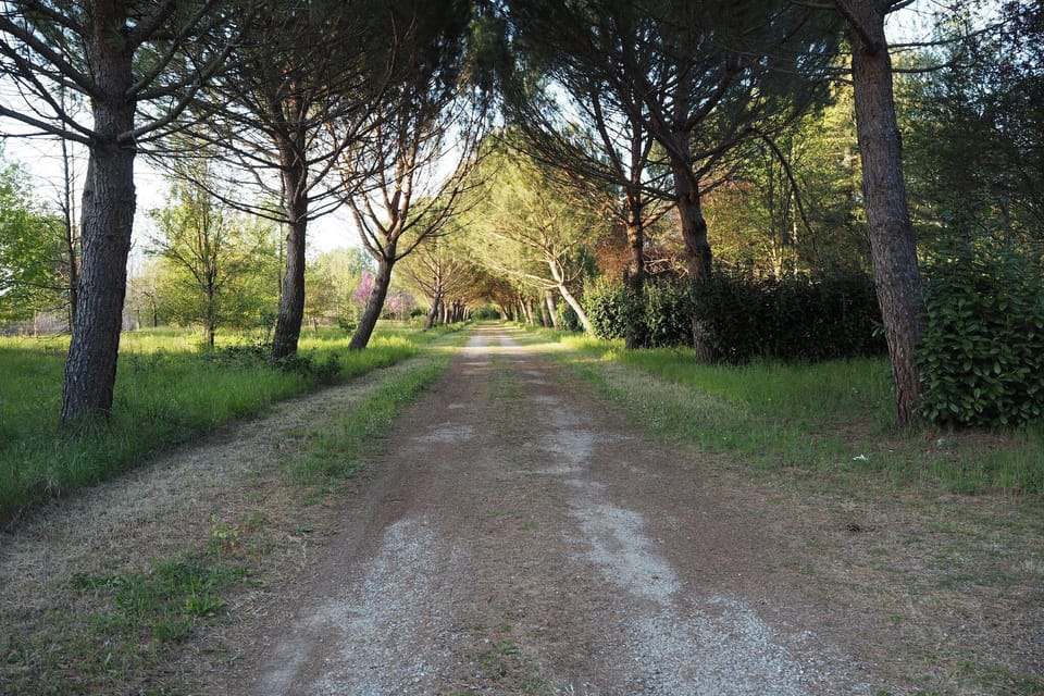 Immediate Surroundings [summer] (<1 km)