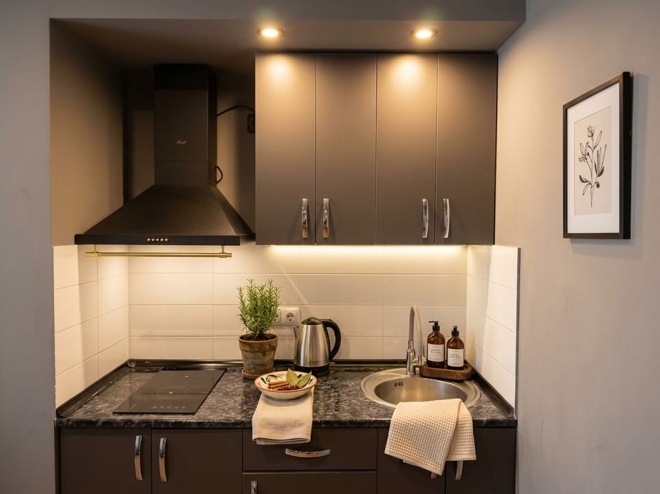 Comfort Apartment, River View | Private kitchen | Mini-fridge, stovetop, cookware/dishes/utensils