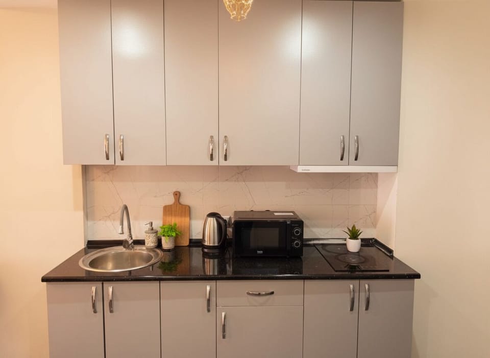Comfort Apartment, River View | Private kitchen | Mini-fridge, stovetop, cookware/dishes/utensils