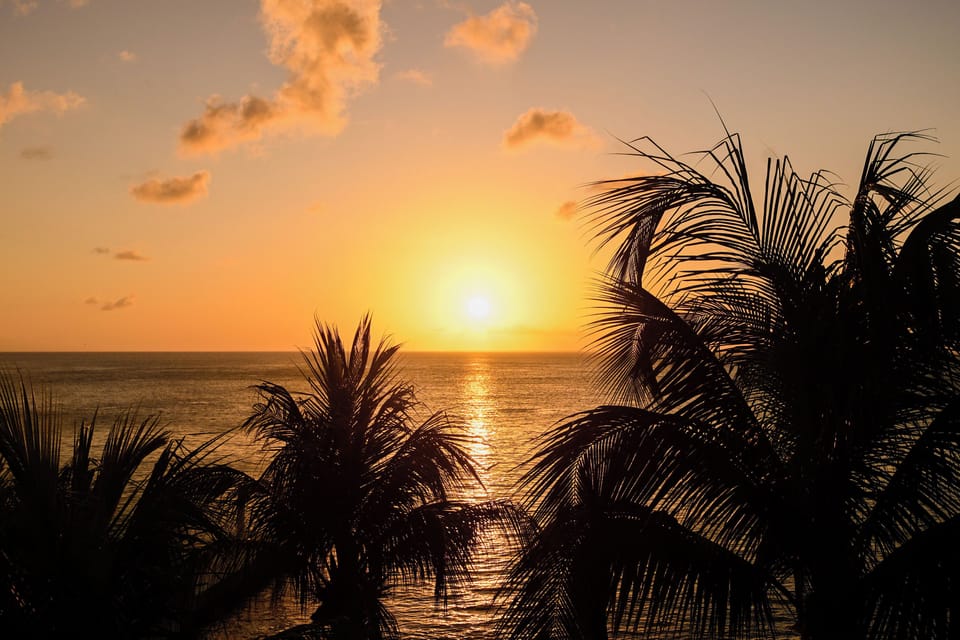 A breathtaking sunset over the ocean, framed by silhouetted palm trees, marks the tropical setting of this beachfront property.