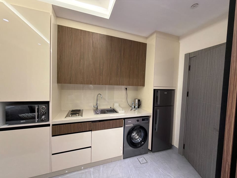 Apartment, 1 Bedroom, Accessible, Smoking | Laundry