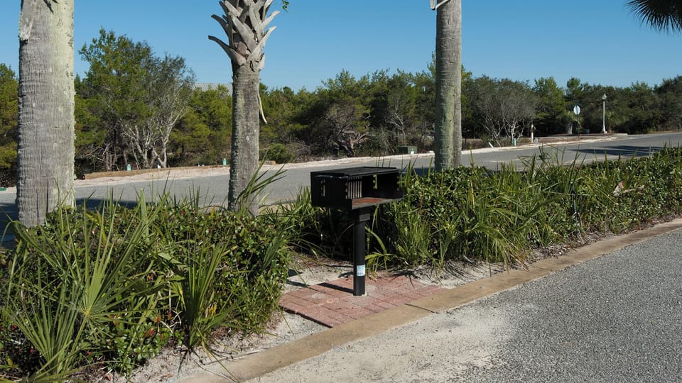 BBQ/picnic area