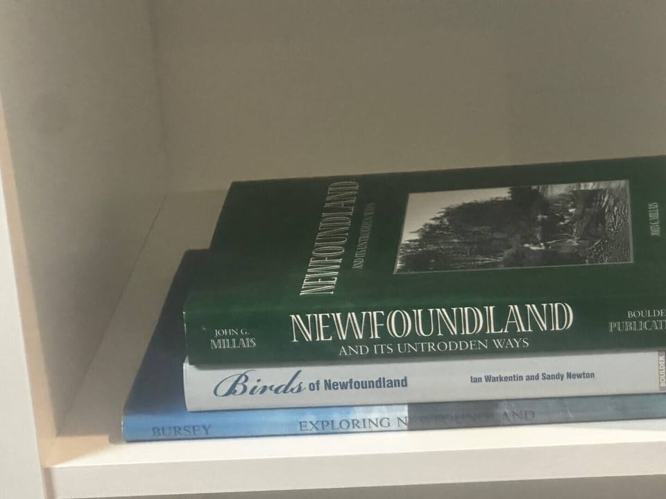 Discover the stories, landscapes, and wildlife that make Newfoundland unforgettable