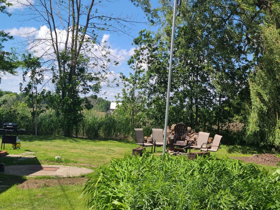 BBQ and fire pit