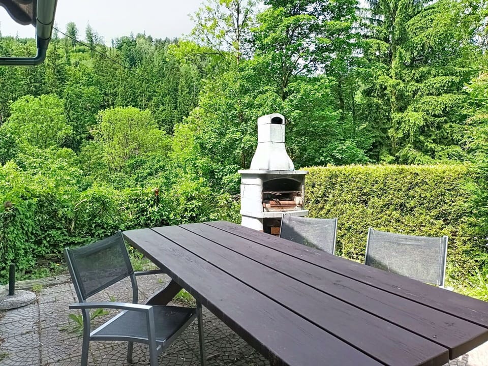 Furniture, Wood, Outdoor Furniture, Table, Outdoor Table, Garden, Hardwood, Chair, Backyard, Lawn