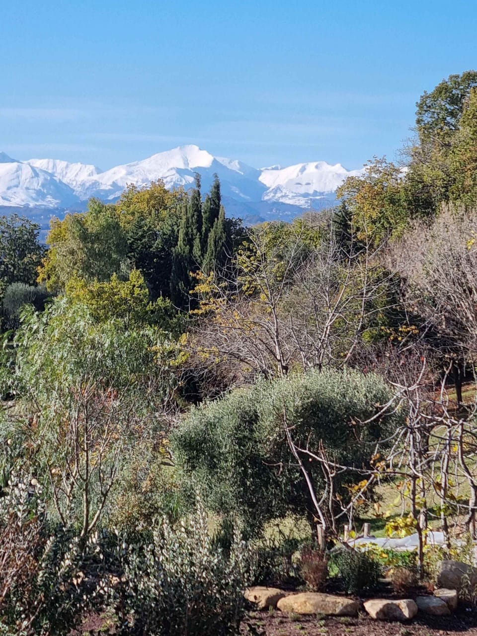View Mountains April