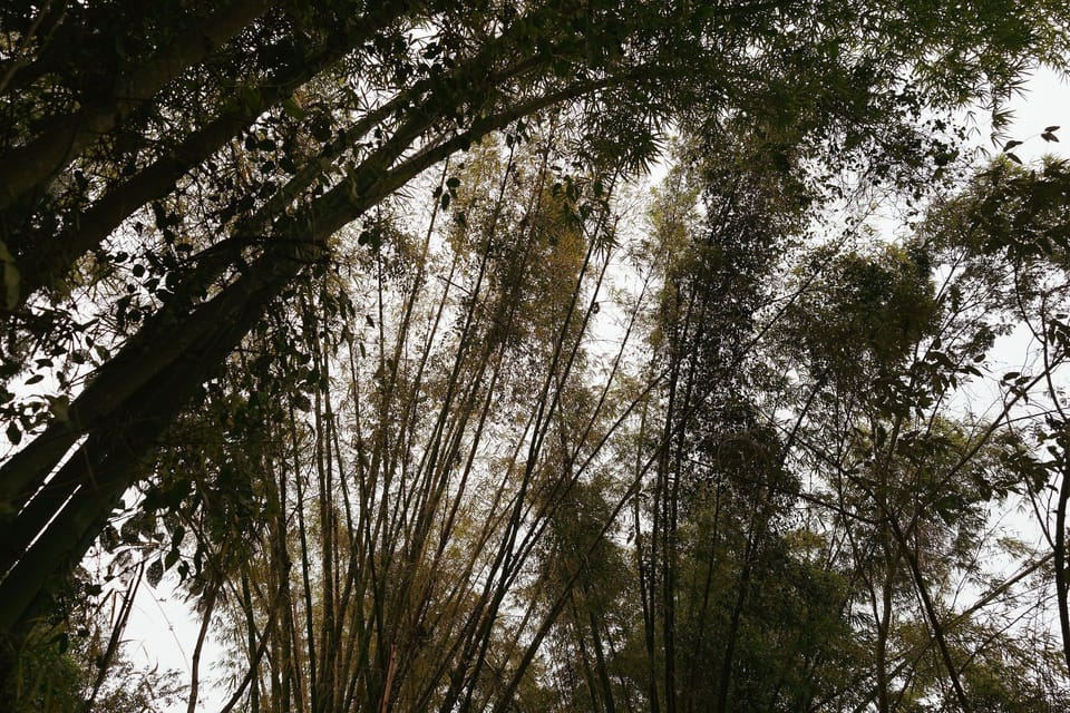 Natural landscape
