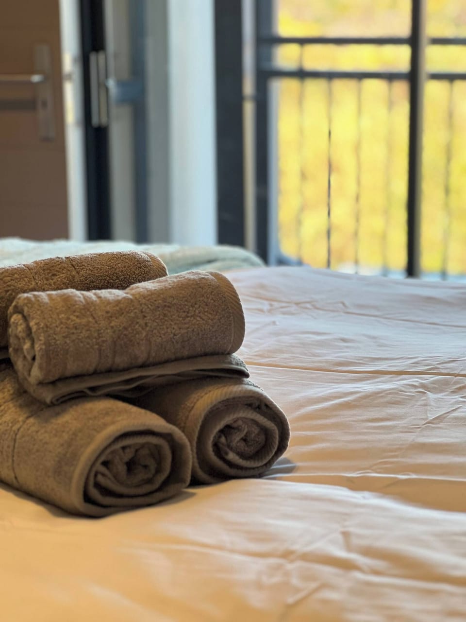Apartment, 1 Bedroom, Smoking, Patio | Miscellaneous