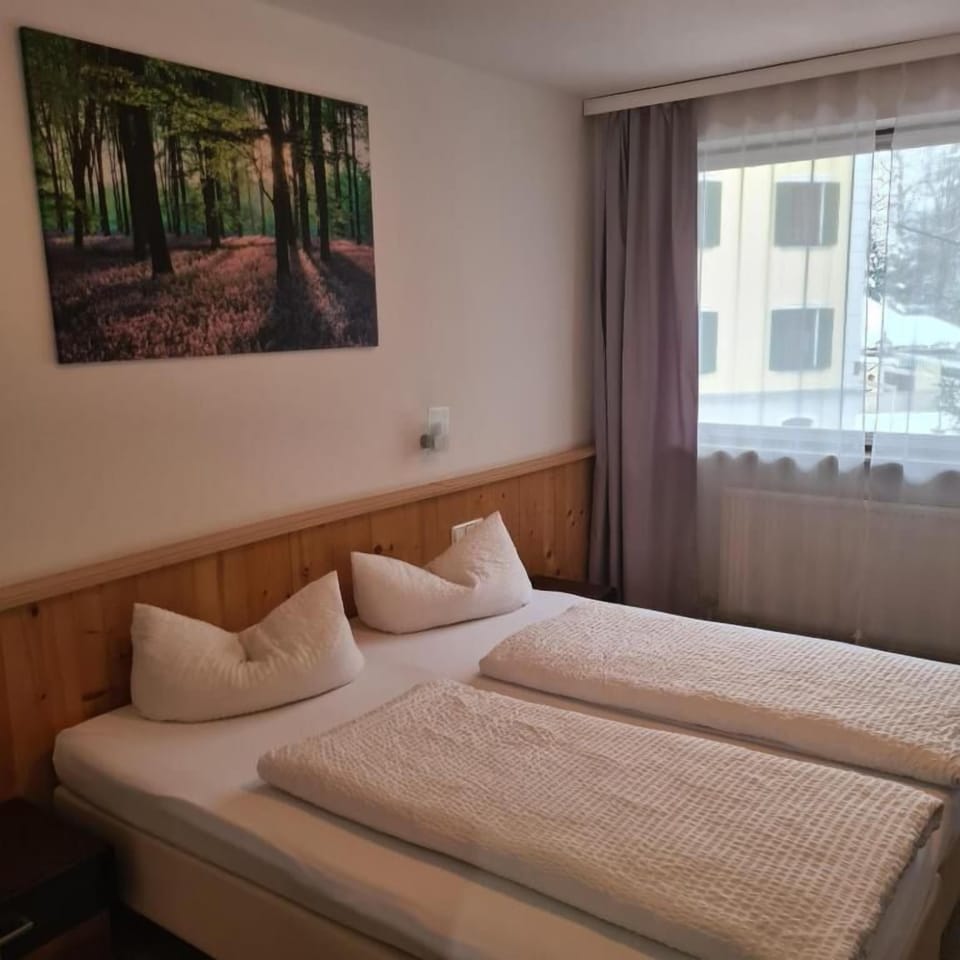 Basic Double or Twin Room, Balcony, Mountain View | In-room safe, free WiFi