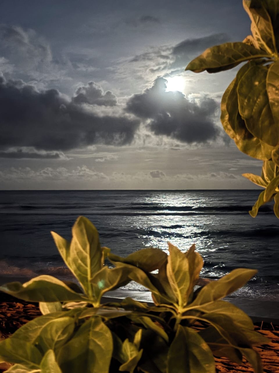 Islander is a photogenic paradise!