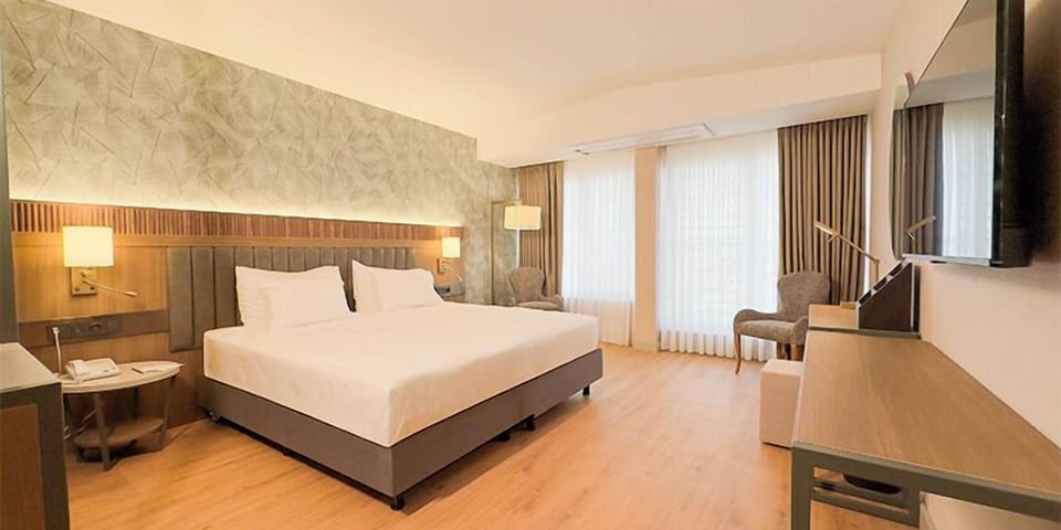 Economy Room | Minibar, in-room safe, desk, soundproofing