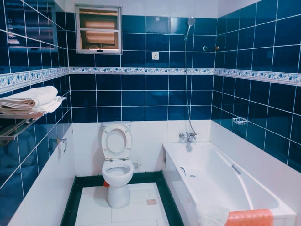Executive Suite | Bathroom | Free toiletries, hair dryer, towels, soap