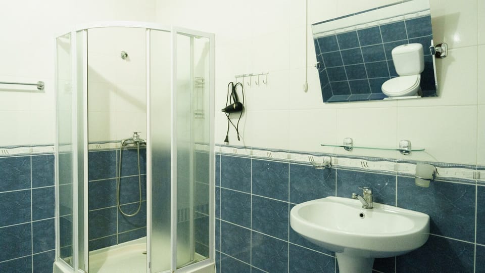 Shower, free toiletries, hair dryer, towels