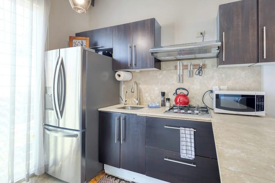 Apartment, 1 King Bed, Garden View (Cabo Hideaway) | Private kitchen