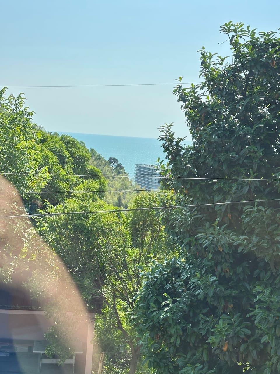 View from property