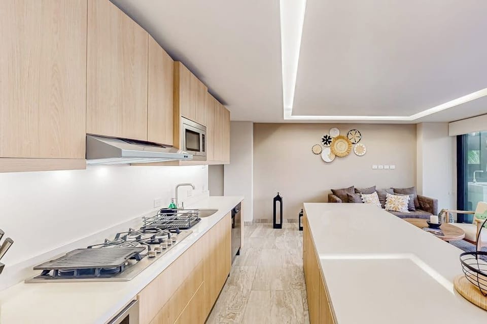 Apartment, 1 King Bed, Mountain View (Cardinal Living Cabo D-301) | Private kitchen
