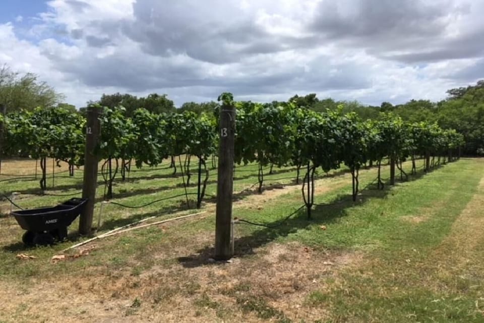 Winery