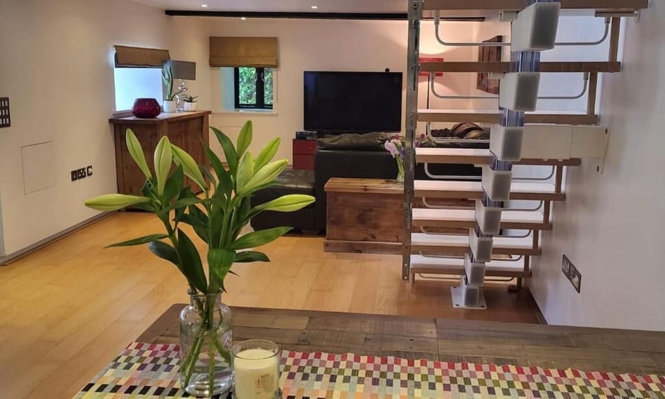 Superior House | Living area | TV