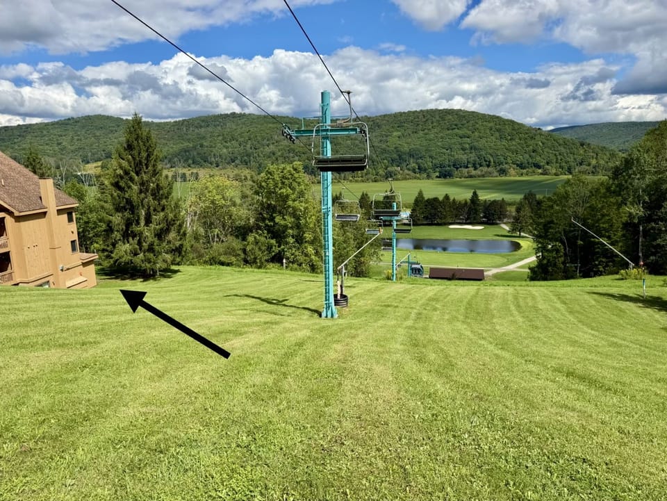 View from the hill in the summer