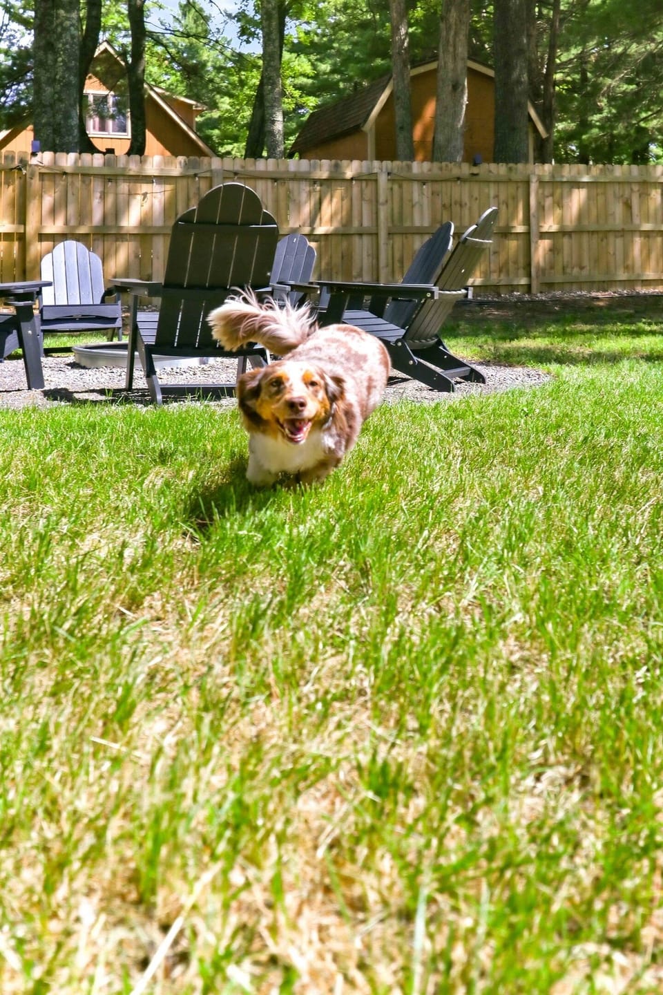 Let your pup run free in the fenced yard while you relax fireside under the trees.
