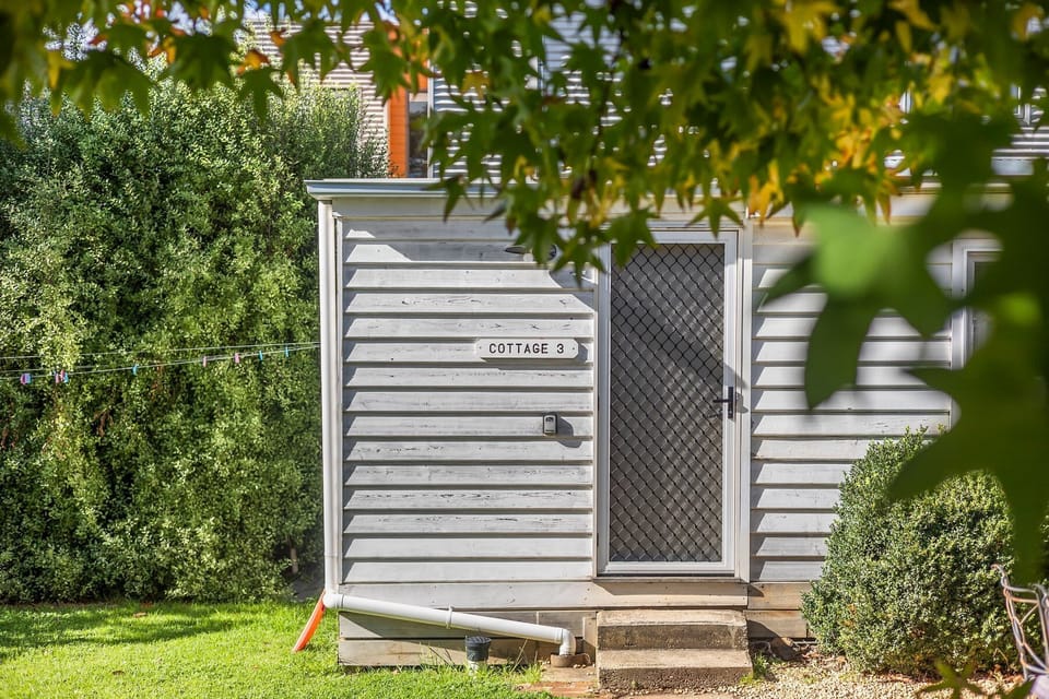 Shared Backyard