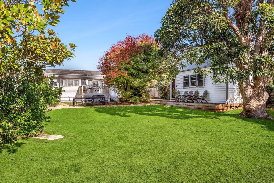 Large Shared Backyard
